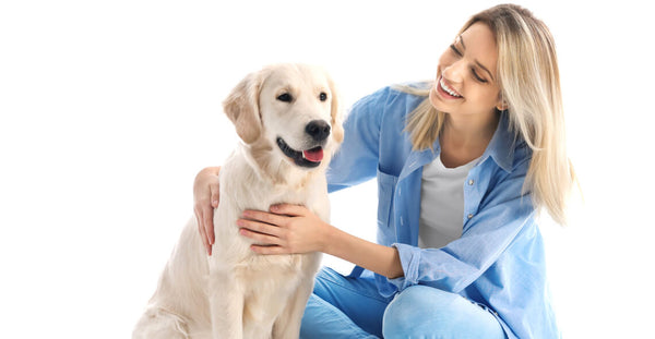 Introduction to Being a Dog Trainer Certificate