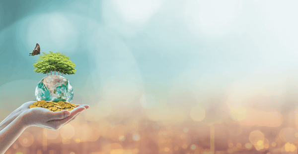 Corporate Sustainability Certification