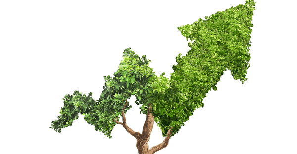 Sustainable Business Certification