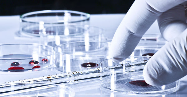 Blood-borne Pathogens & Exposure Control Plan Certification