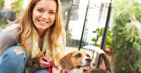 Pet Sitting and Dog Walking Diploma