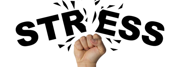 Stress Management (Employees) Certification