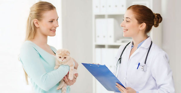 Veterinary Support Assistant Certification